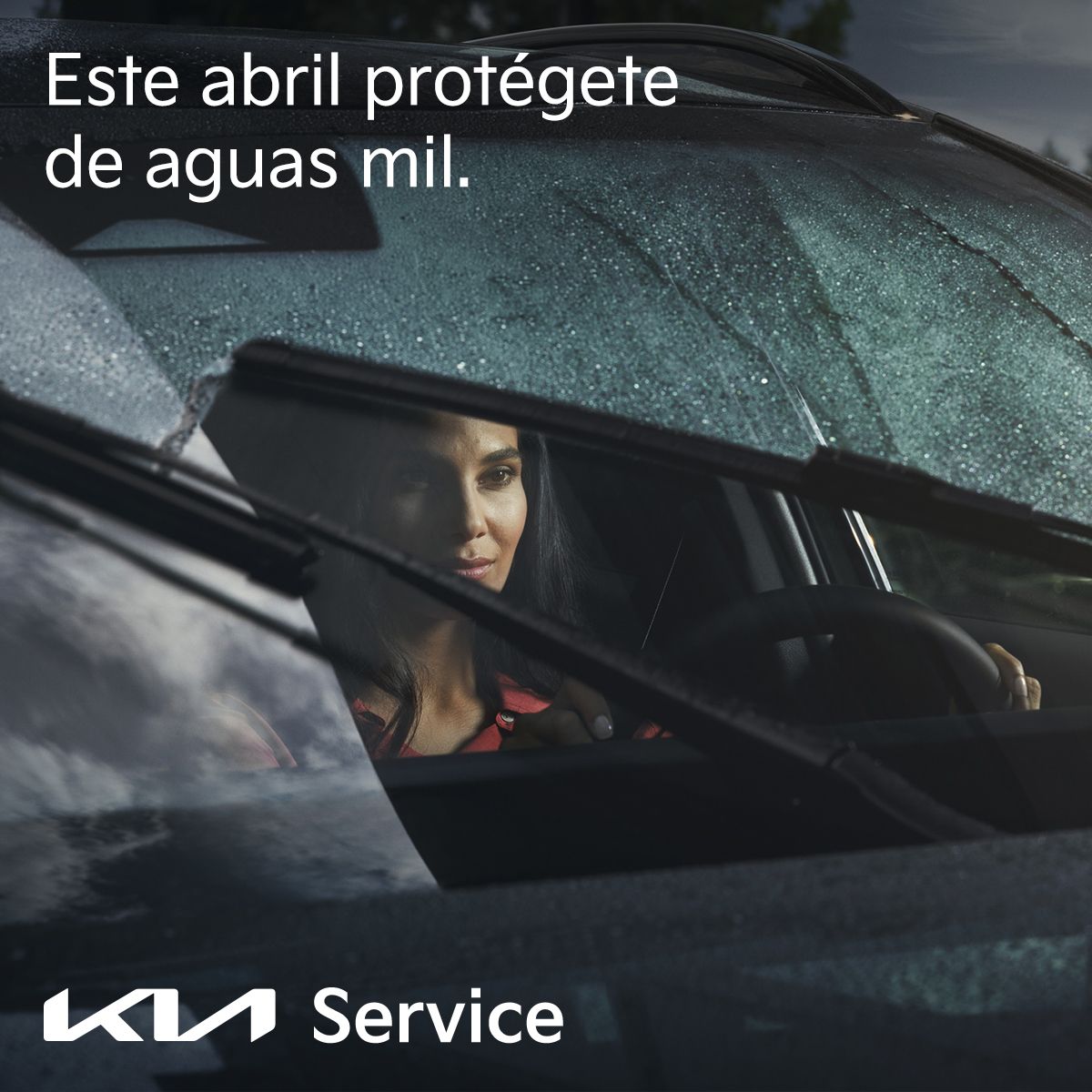 Revisión + Regalo en Kia Automotor Huesca Revisión + Regalo en Kia Automotor Huesca