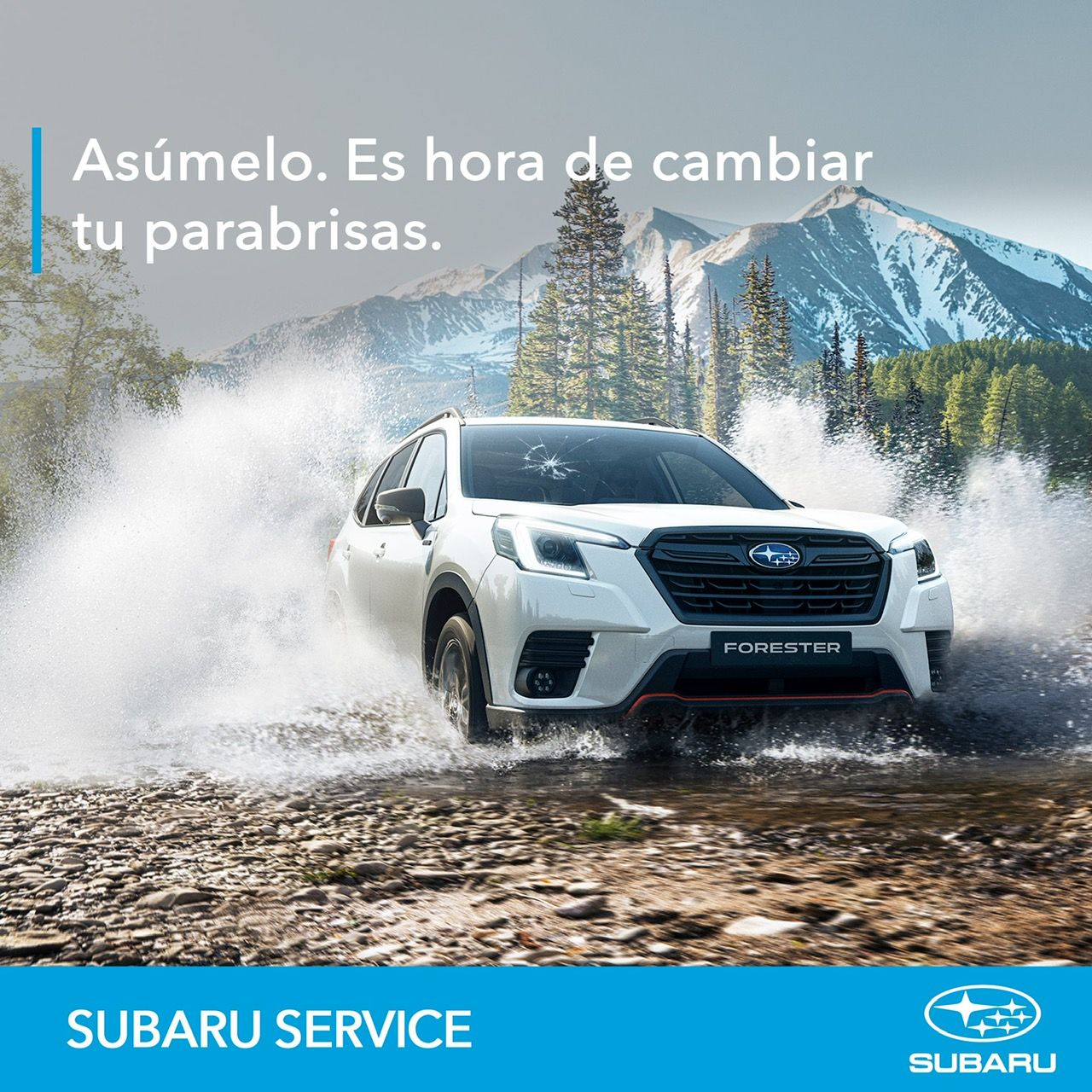 VEN Y LLEVATE UN REGALO POR SUSTITUIR TU PARABRISAS VEN Y LLEVATE UN REGALO POR SUSTITUIR TU PARABRISAS