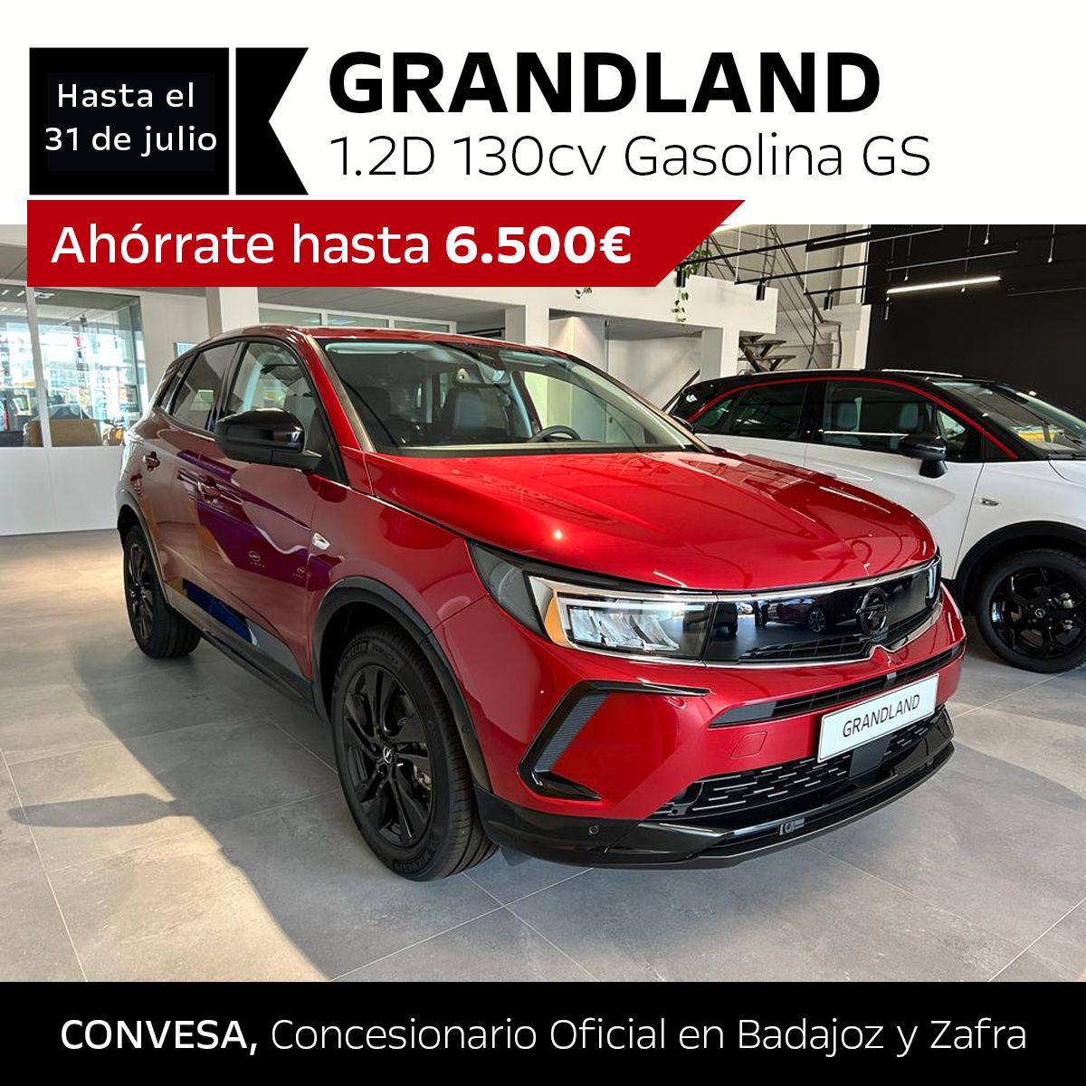 PROMOCIÓN JULIO GRANDLAND PROMOCIÓN JULIO GRANDLAND