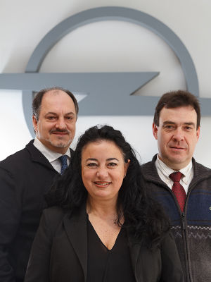 Consultores de Ventas Vehículos Nuevos y Ocasión Consultores de Ventas Vehículos Nuevos y Ocasión